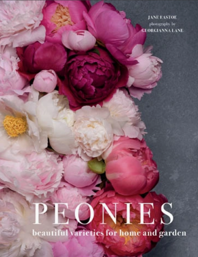 Peonies: Beautiful Varieties For Home & Garden