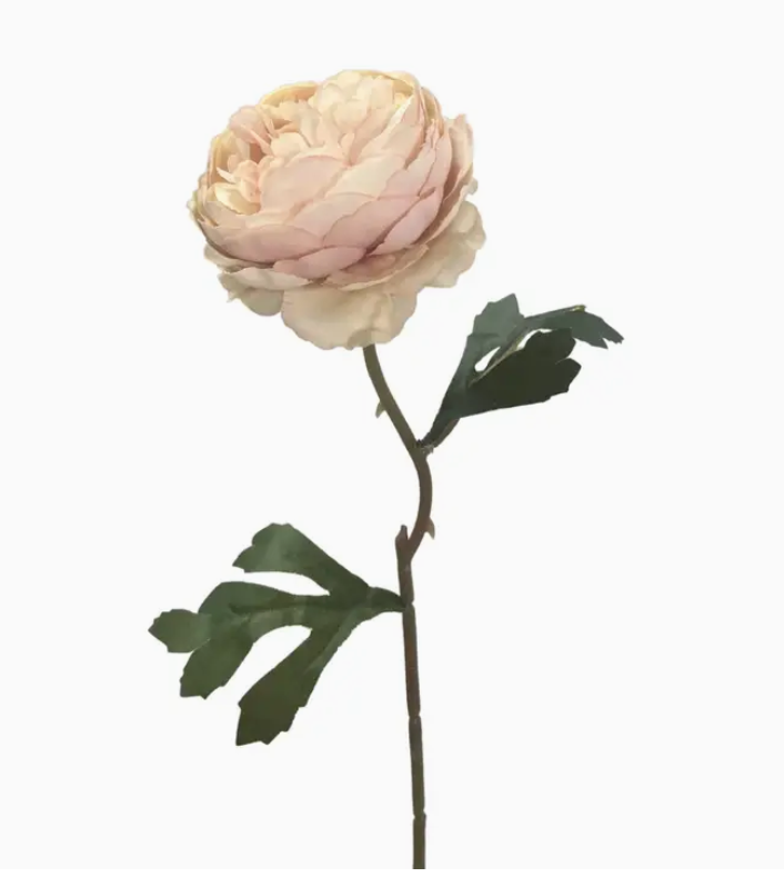 Petite Garden Peony Stem 14.5” - Soft Pink